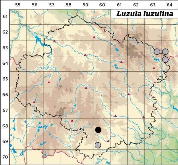 Mapa výskytu - bika žlutavá - Luzula luzulina
