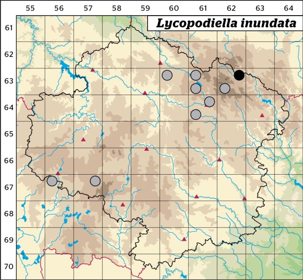 Mapa výskytu - plavuňka zaplavovaná - Lycopodiella inundata