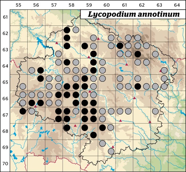 Mapa výskytu - plavuň pučivá - Lycopodium annotinum