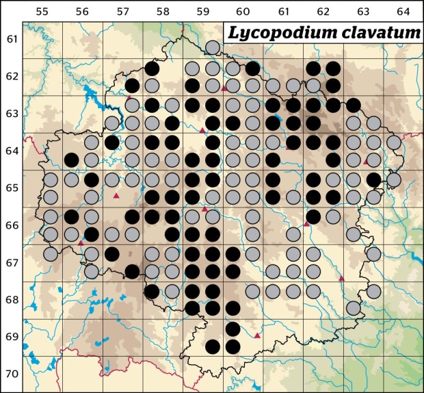 Mapa výskytu - plavuň vidlačka - Lycopodium clavatum