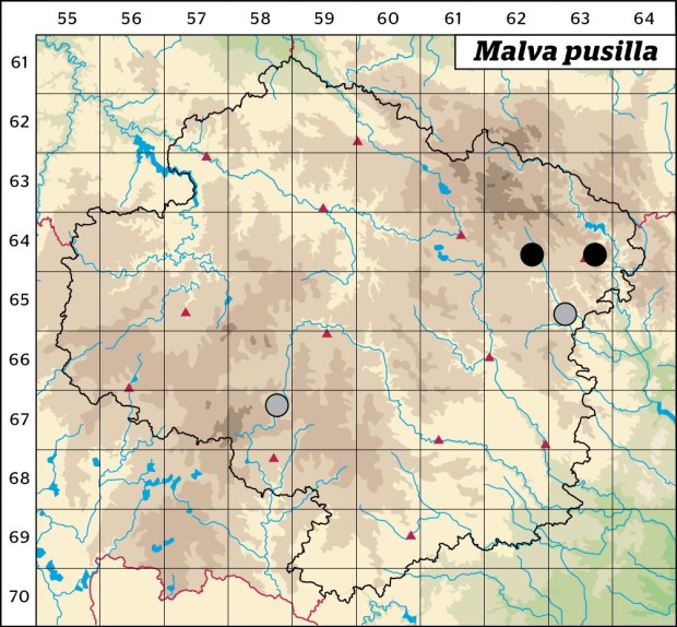 Mapa výskytu - sléz nizounký - Malva pusilla