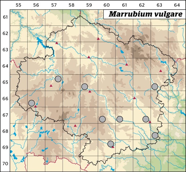 Mapa výskytu - jablečník obecný - Marrubium vulgare