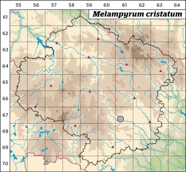 Mapa výskytu - černýš hřebenitý - Melampyrum cristatum