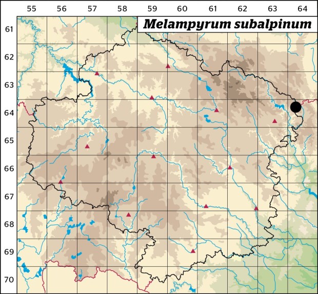 Mapa výskytu - černýš český - Melampyrum subalpinum