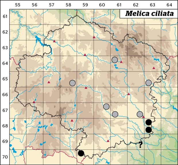Mapa výskytu - strdivka brvitá - Melica ciliata