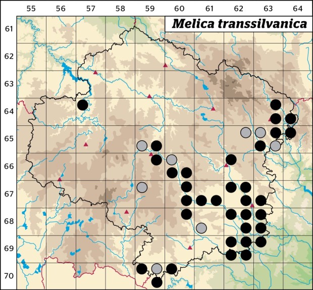 Mapa výskytu - strdivka sedmihradská - Melica transsilvanica