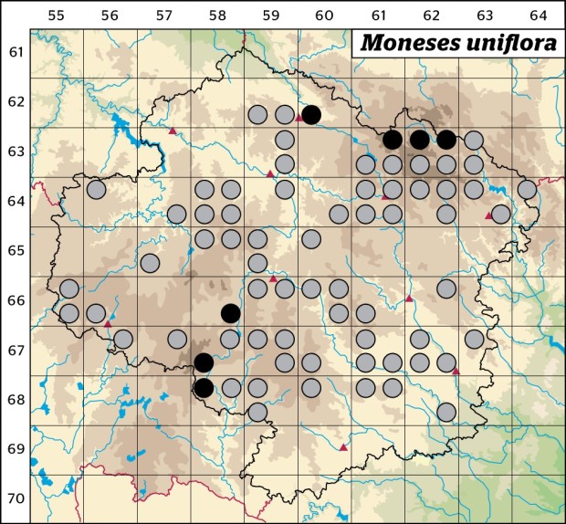 Mapa výskytu - jednokvítek velekvětý - Moneses uniflora