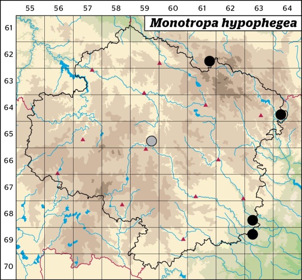 Mapa výskytu - hnilák lysý - Monotropa hypophegea