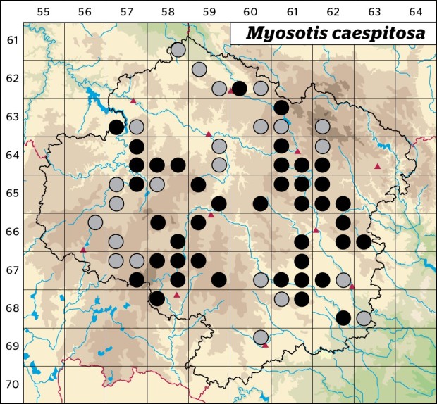 Mapa výskytu - pomněnka trsnatá - Myosotis caespitosa