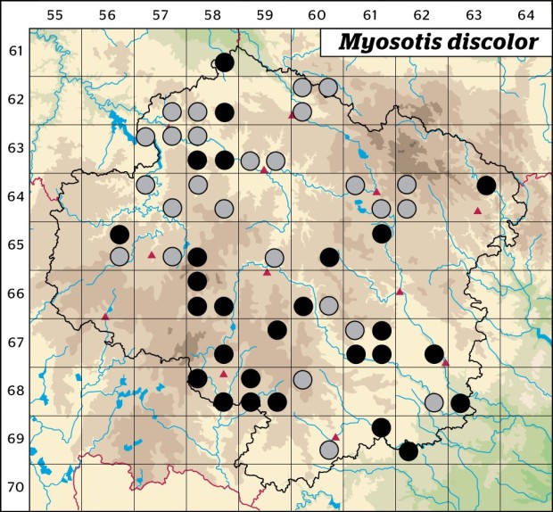 Mapa výskytu - pomněnka různobarvá - Myosotis discolor