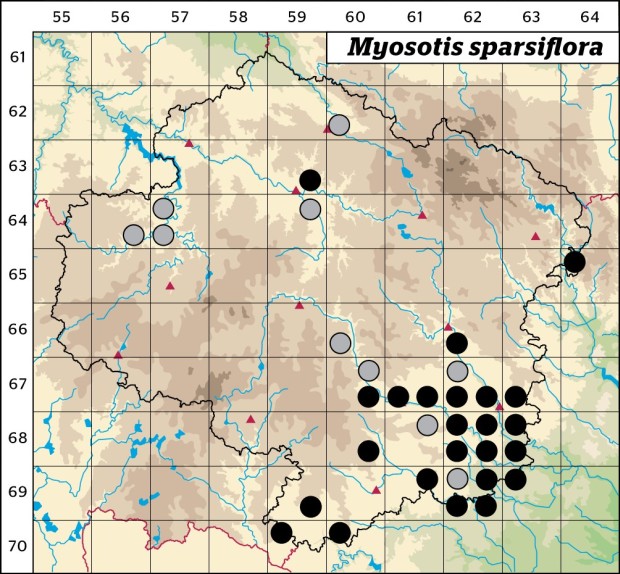 Mapa výskytu - pomněnka řídkokvětá - Myosotis sparsiflora