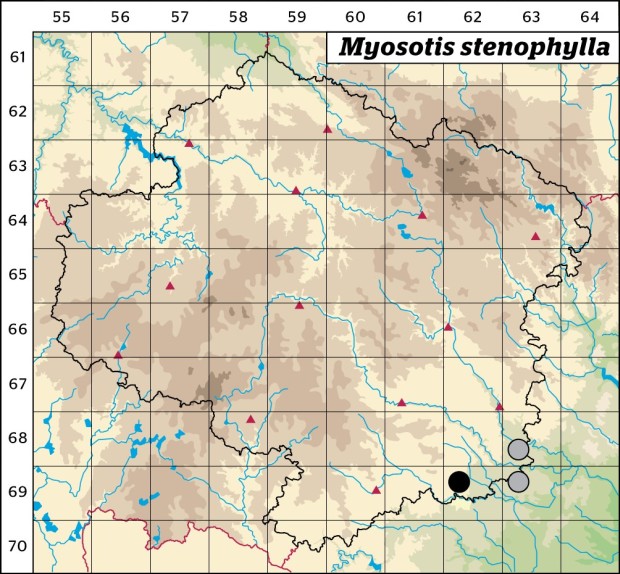 Mapa výskytu - pomněnka úzkolistá - Myosotis stenophylla