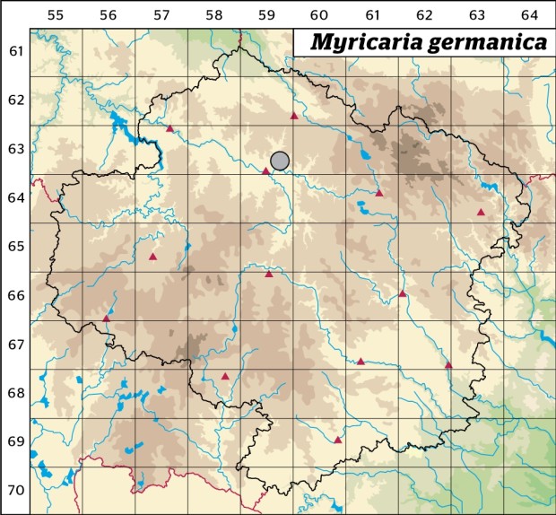 Mapa výskytu - židovník německý - Myricaria germanica