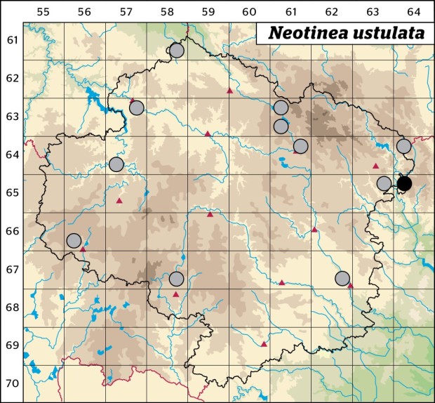 Mapa výskytu - vstavač osmahlý - Neotinea ustulata