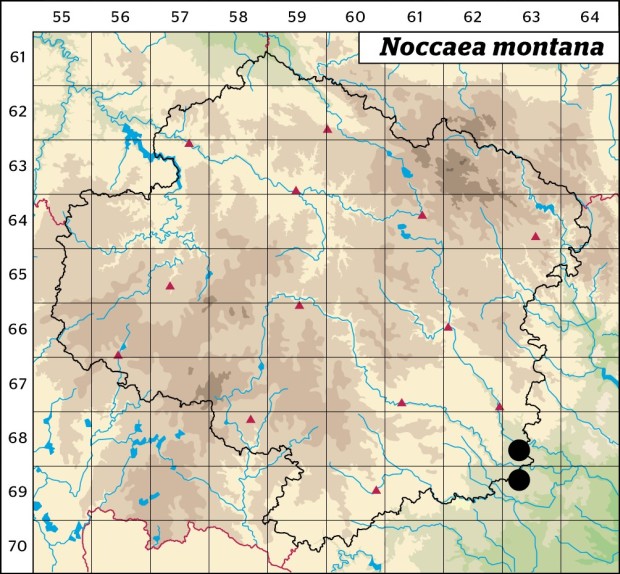 Mapa výskytu - penízek horský - Noccaea montana