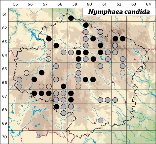 Mapa výskytu - leknín bělostný - Nymphaea candida