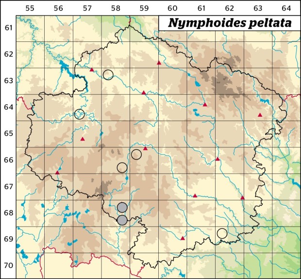 Mapa výskytu - plavín štítnatý - Nymphoides peltata