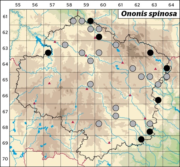 Mapa výskytu - jehlice trnitá - Ononis spinosa