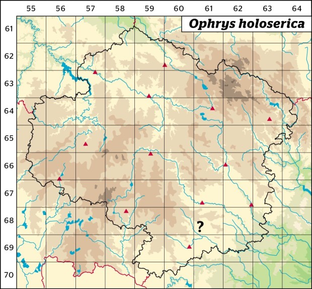 Mapa výskytu - tořič čmelákovitý Holubyho - Ophrys holoserica subsp. holubyana