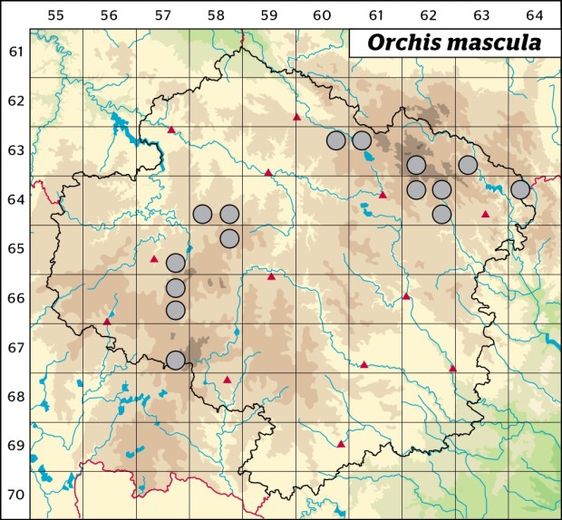 Mapa výskytu - vstavač mužský - Orchis mascula