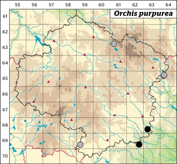 Mapa výskytu - vstavač nachový - Orchis purpurea