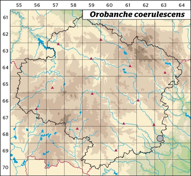 Mapa výskytu - záraza namodralá - Orobanche coerulescens