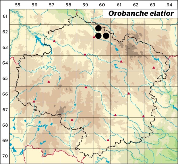 Mapa výskytu - záraza vyšší - Orobanche elatior