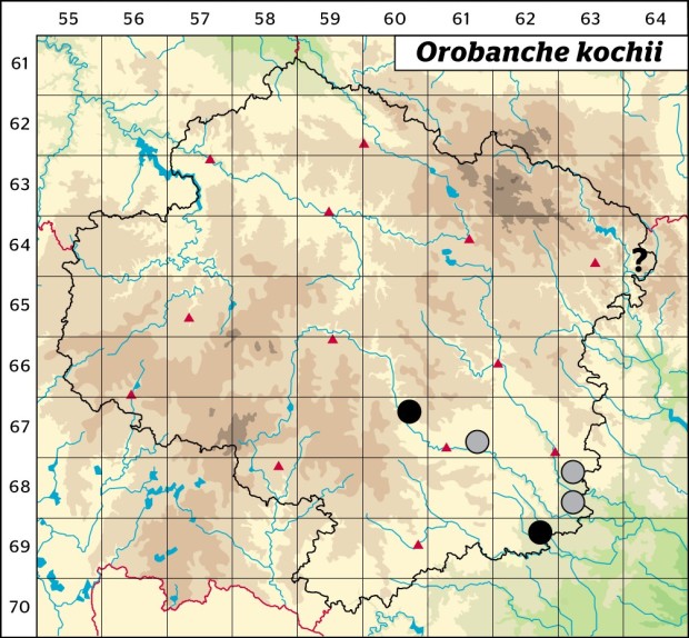 Mapa výskytu - záraza zardělá - Orobanche kochii