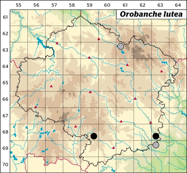 Mapa výskytu - záraza žlutá - Orobanche lutea