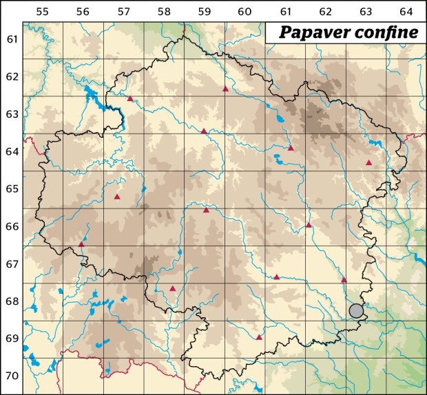 Mapa výskytu - mák časný - Papaver confine