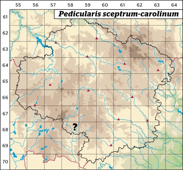 Mapa výskytu - všivec žezlovitý - Pedicularis sceptrum-carolinum