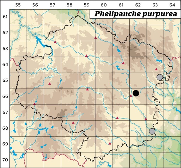 Mapa výskytu - mordovka nachová - Phelipanche purpurea