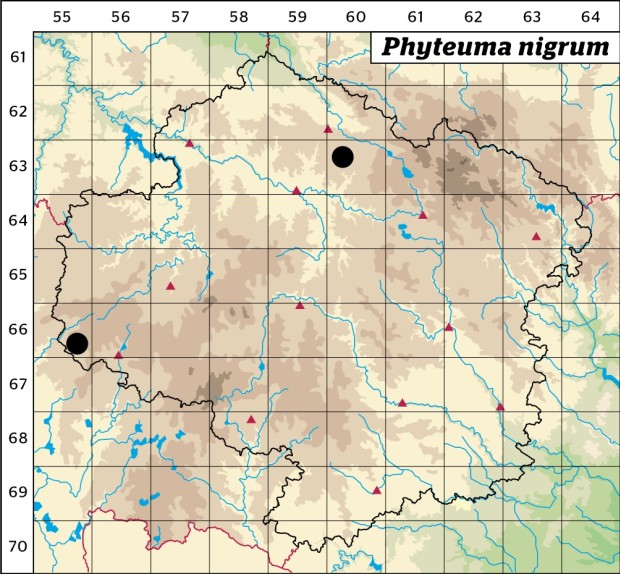 Mapa výskytu - zvonečník černý - Phyteuma nigrum