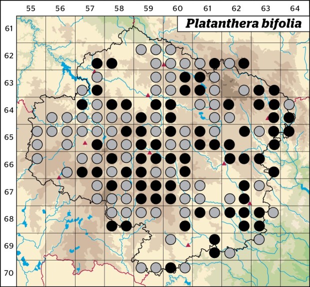 Mapa výskytu - vemeník dvoulistý - Platanthera bifolia