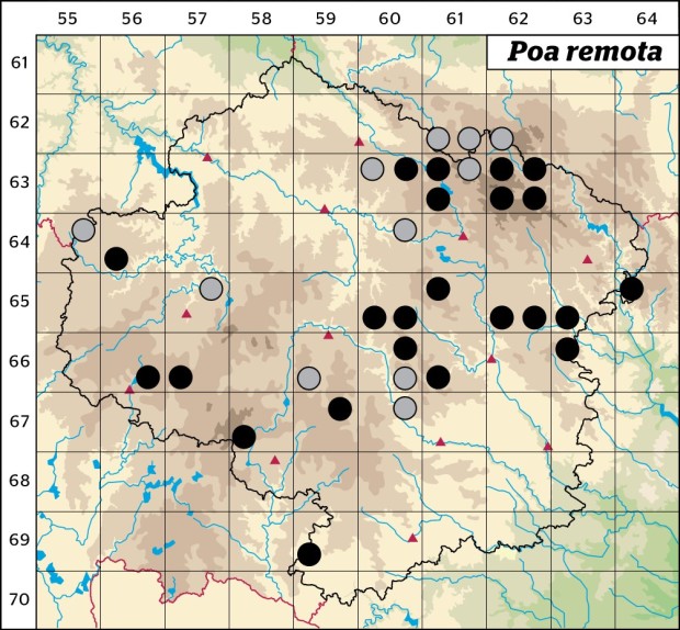 Mapa výskytu - lipnice oddálená - Poa remota