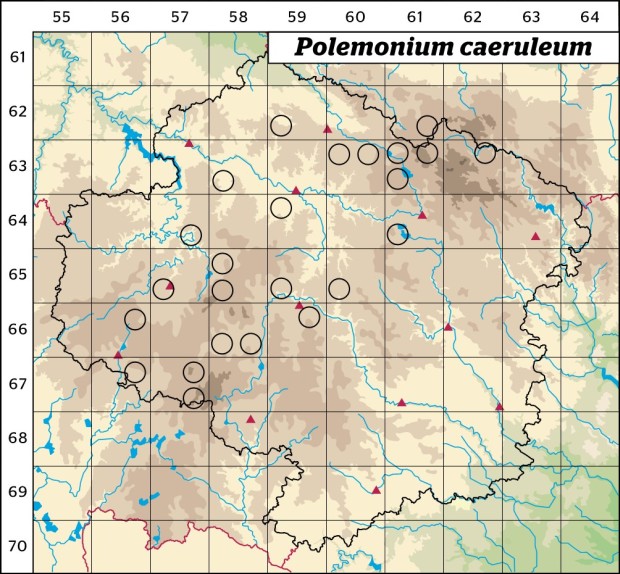 Mapa výskytu - jirnice modrá - Polemonium caeruleum