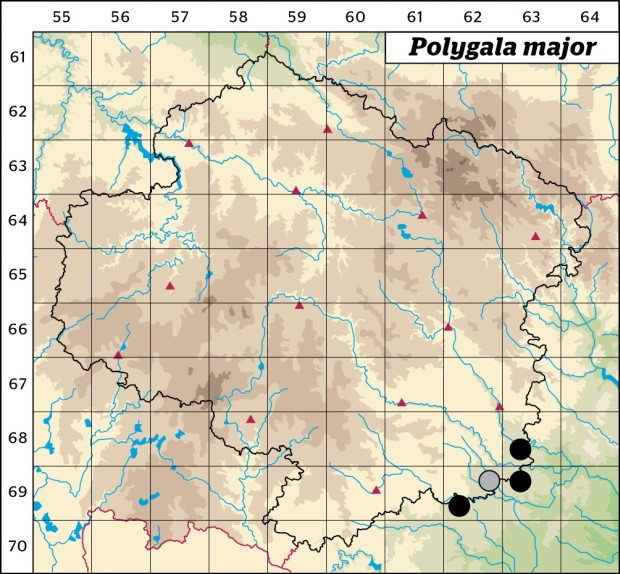 Mapa výskytu - vítod větší - Polygala major