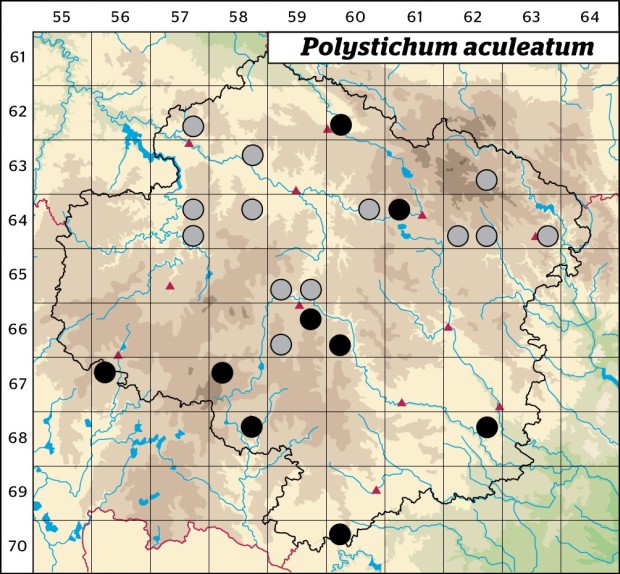 Mapa výskytu - kapradina laločnatá - Polystichum aculeatum