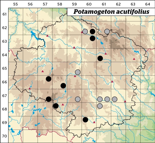 Mapa výskytu - rdest ostrolistý - Potamogeton acutifolius