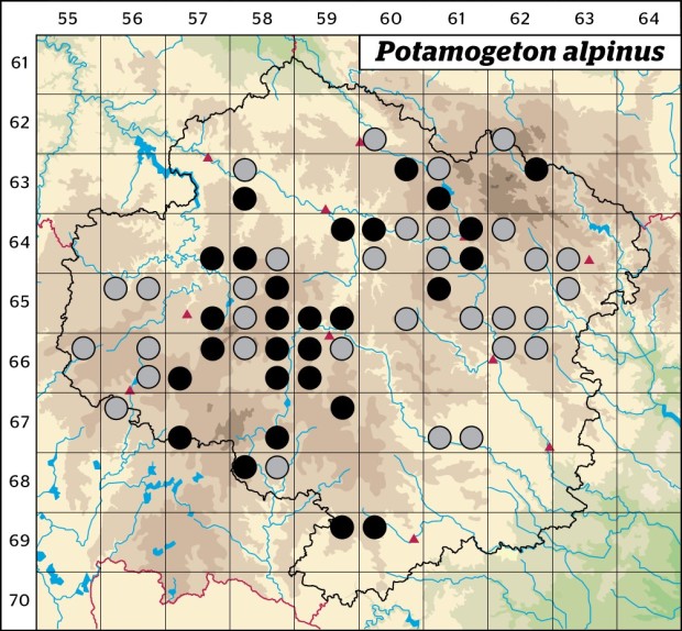 Mapa výskytu - rdest alpský - Potamogeton alpinus