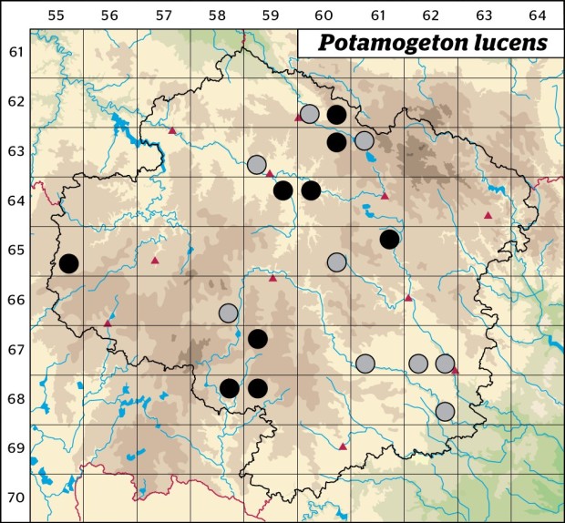 Mapa výskytu - rdest světlý - Potamogeton lucens