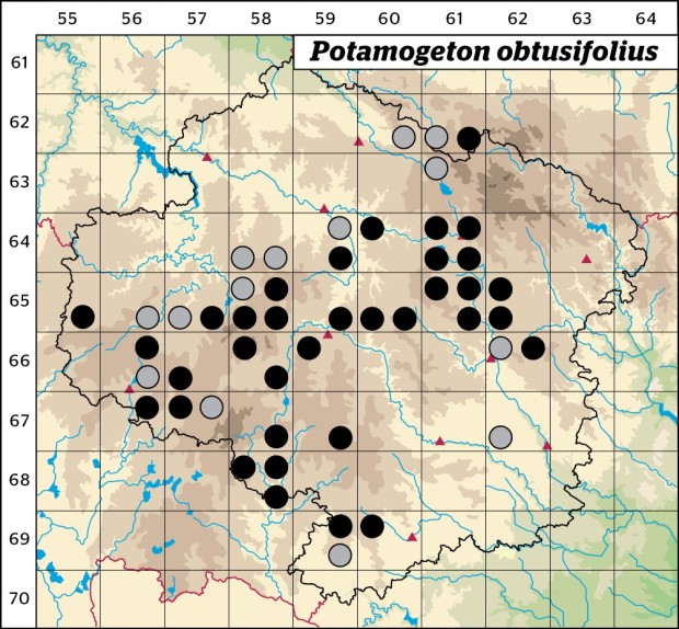 Mapa výskytu - rdest tupolistý - Potamogeton obtusifolius