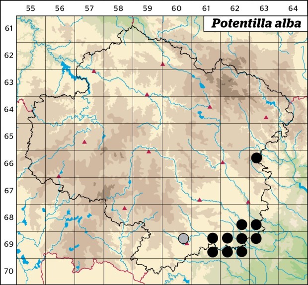 Mapa výskytu - mochna bílá - Potentilla alba