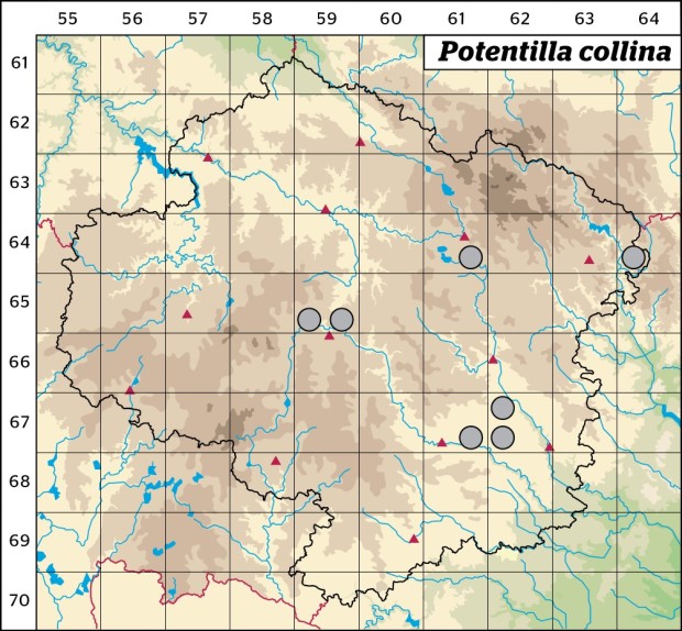 Mapa výskytu - mochna chlumní - Potentilla collina