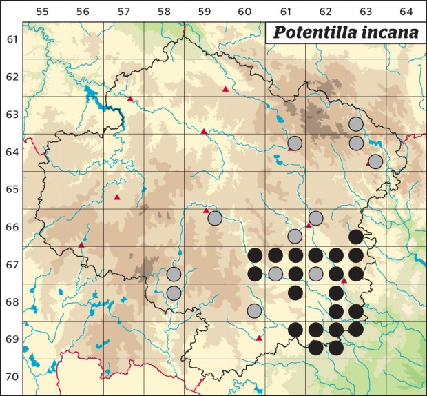 Mapa výskytu - mochna písečná - Potentilla incana