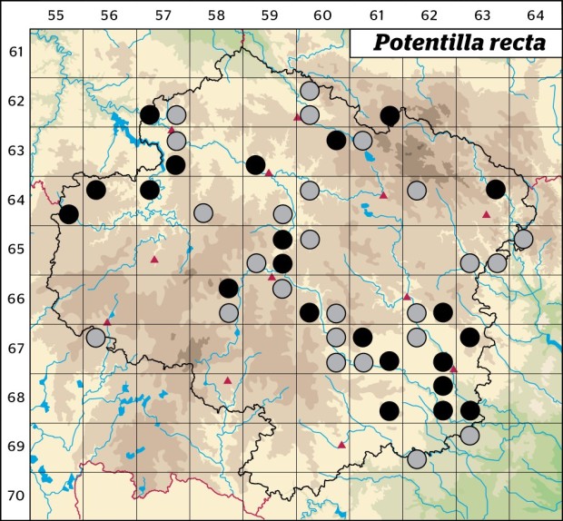 Mapa výskytu - mochna přímá - Potentilla recta