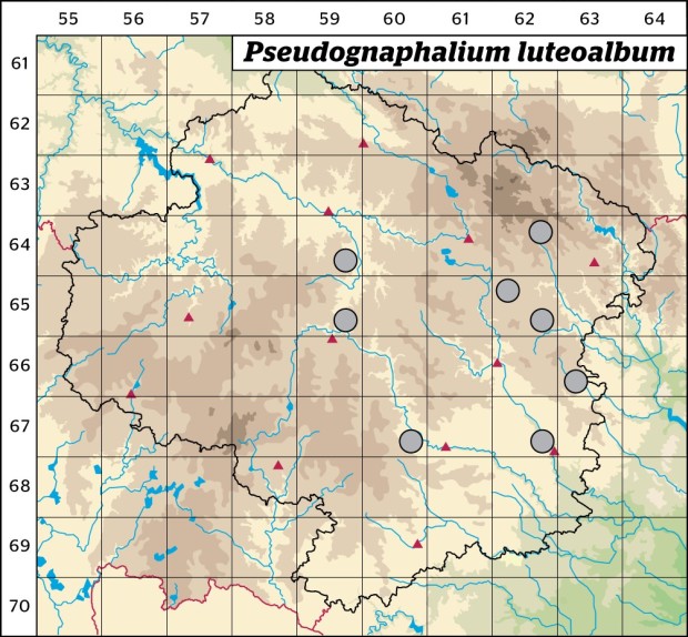 Mapa výskytu - protěž žlutobílá - Pseudognaphalium luteoalbum