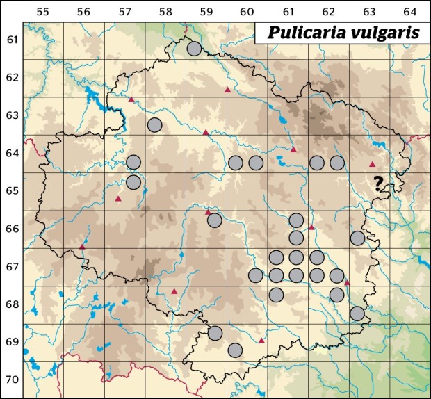 Mapa výskytu - blešník obecný - Pulicaria vulgaris