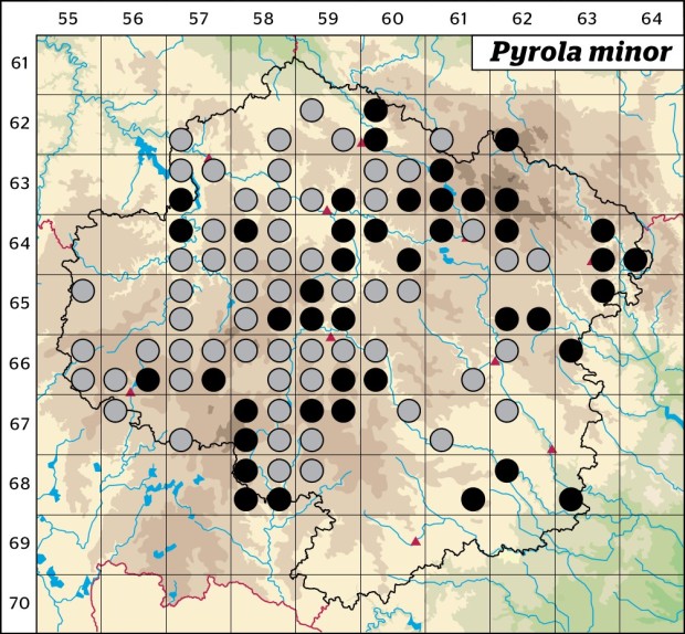 Mapa výskytu - hruštička menší - Pyrola minor