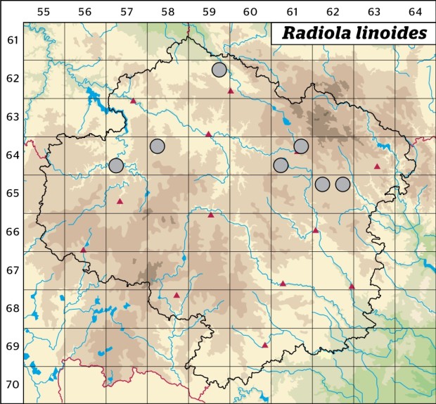 Mapa výskytu - stozrník lnovitý - Radiola linoides